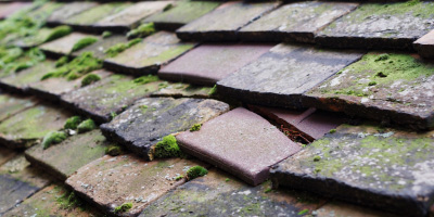 Biggin Hill roof repair costs